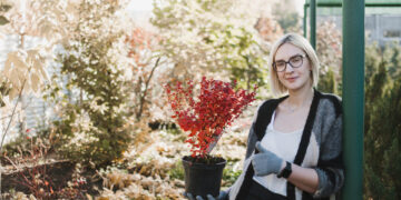 home advice decadgarden